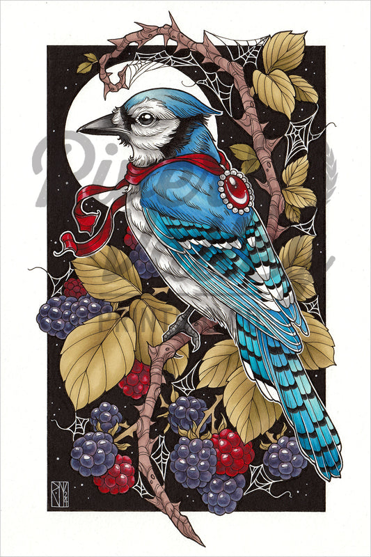 Blue Jay